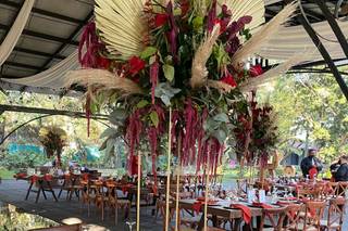 Dovaka Wedding Planner - 5