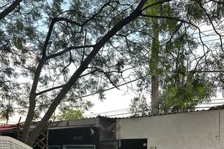 Jardín de Eventos Mandala - 8