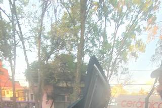 La Belle Époque - 15