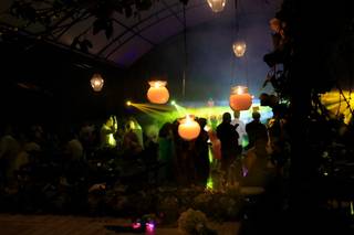 D'Vinalay DJ - 10