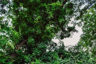 Ed.Na Photography - 4