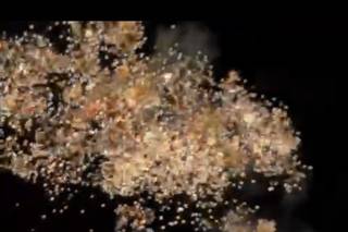 Pirocor Piroespectáculos - 5