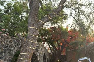Jardín Lagos 21 - 9