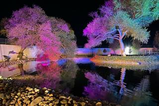 Connie Lima Wedding Planner - 5