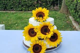 Deví Eventos y Banquetes - 6