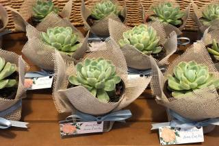 Blessing Moments - 6