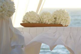 Grupo Sea Master - 4