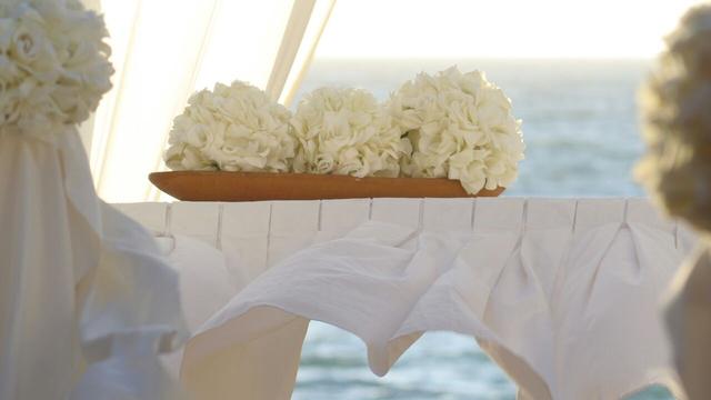 Grupo Sea Master - 1