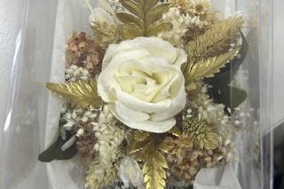 Originales Claudia - 8