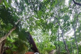 Sundaze Weddings - 8