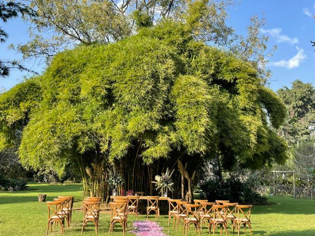Los Nogales Event Garden - 1