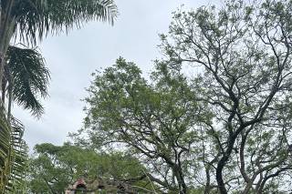 Ex Hacienda Imago Apanquetzalco - 7