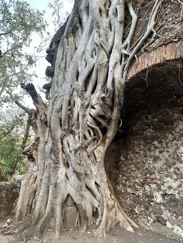 Ex Hacienda Imago Apanquetzalco - 4