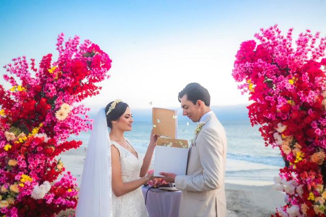 Papillon Making Dreams - 1