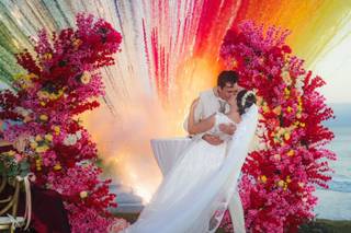 Papillon Making Dreams - 7