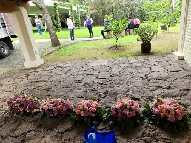 Jardín Siempreviva - 3