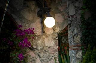 Finca San Isidro - 16