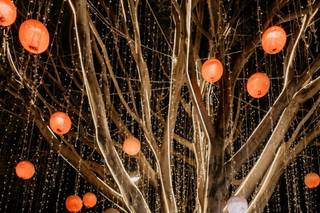 Salón Los Girasoles - 8