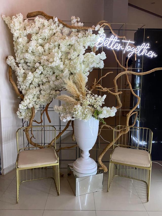 Cocoa Eventos - 2