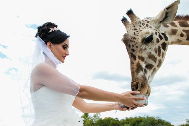 The Wedding Styling MX - 3