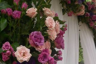 Hacienda Real de Velasco - 34