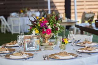 Patio Aves del Paraíso - 16