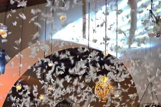 Confidence by M Orozco Wedding & Event Planners - 7