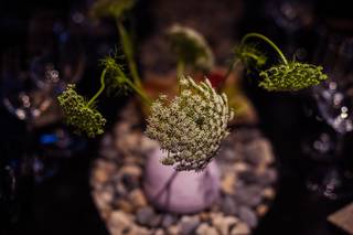 Seven Floral Design - 15