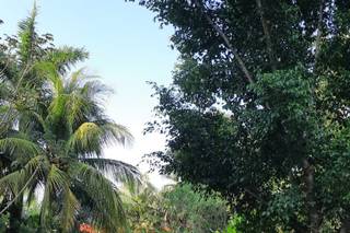 Hacienda Dzibikak - 7