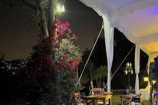 Finca Montesol - 7