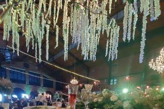 Hacienda El Jaguey - 25