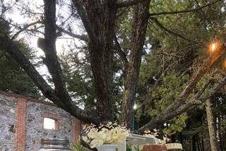 Hacienda Real de Velasco - 20