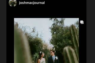 Wolfpack Weddings Co - 8