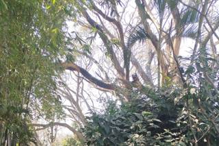 Corporativo Imat - 14