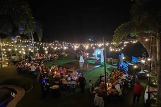 Papillon Making Dreams - 8