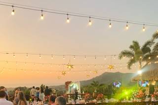 Papillon Making Dreams - 9