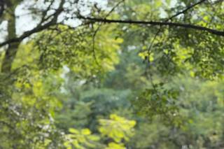 Jardín La Estancia by Grupo Paraíso - 7