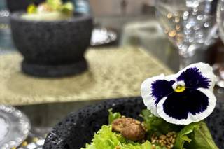 Fusion MX Catering - 16