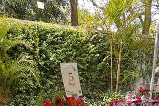 Fusion MX Wedding - 7