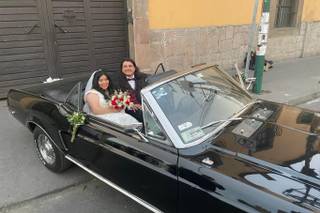 La Belle Époque - 27