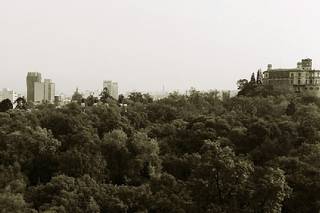 Grand Fiesta Americana Chapultepec - 17