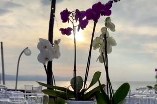 Eventos & Decoraciones Rojas - 15