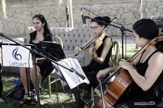 Ensamble Clásico Nereidas - 1