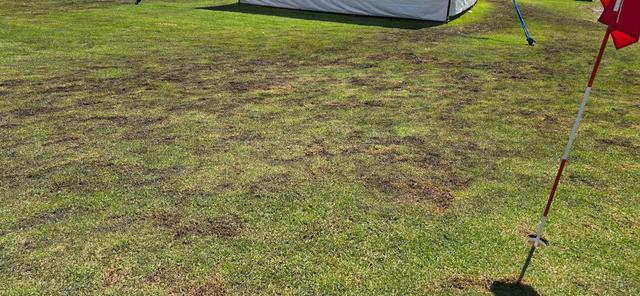 Jardín de Eventos & Hotel La Reunión - 4