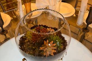 Be Plant - 5
