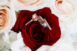 Lancelotti Photography - 5