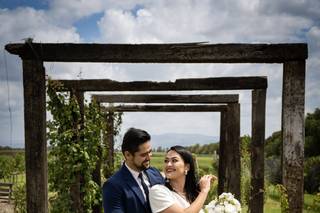 Tierra de Alonso - 6