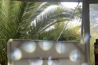 Jardín Rincón de las Estrellas - 6