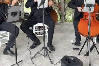 Ensamble Mozaffiato - 6