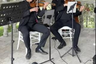 Ensamble Mozaffiato - 7